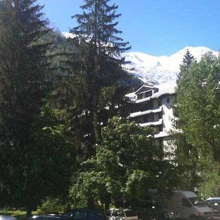 Appartement Chamonix - Vue Mont Blanc Bagian luar foto